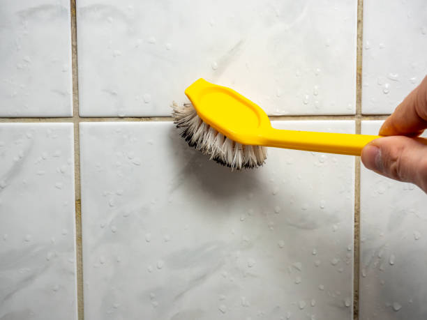 Reliable Gaithersburg, MD Mold Removal Solutions