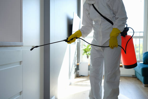 Best Mold Cleaning Services  in Gaithersburg, MD