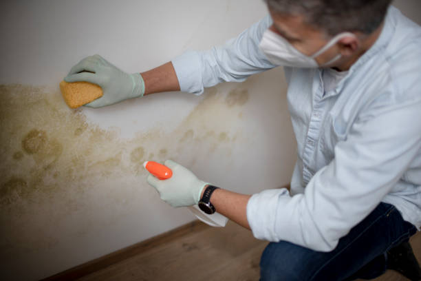 Best Mold Testing  in Gaithersburg, MD