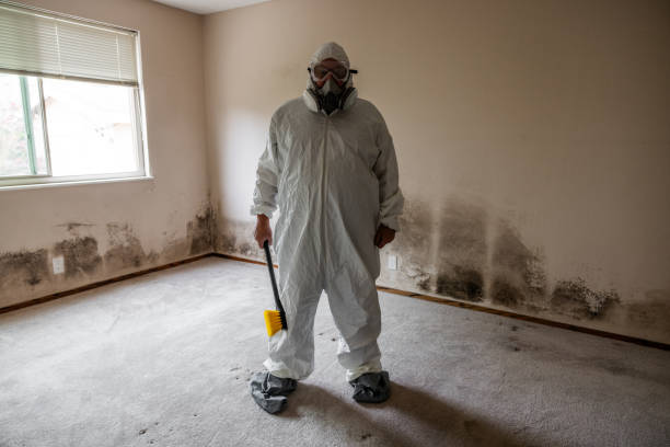 Best Professional Mold Removal  in Gaithersburg, MD